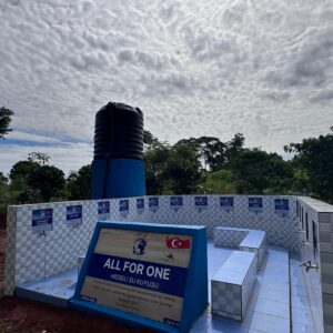 Borehole Africa Type 2