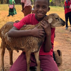 Eid Al-Adha Sheep